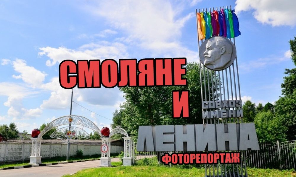 Смоляне и совхоз